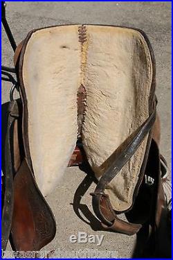 15 1/2 Circle Y 1/2 Tooled Champion Team Roping Saddle Shiner Texas No Reserve