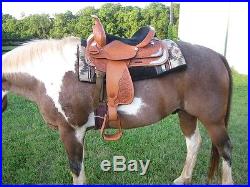 Circle Y western saddle equitation 15 inch breastplate and headstall