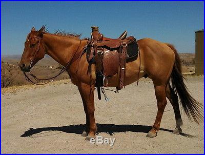 Custom 16 Porter Western Wade Ranch Roping Saddle