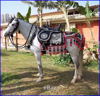 Handmade Arabian nickel plated show saddle set bridle breast collar reins halter