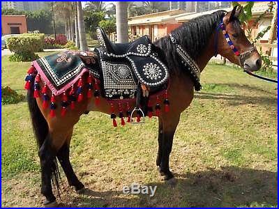 Handmade Arabian nickel plated show saddle set bridle breast collar reins halter